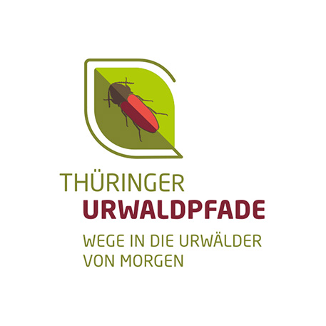 WWF Deutschland – Thüringer Urwaldpfade